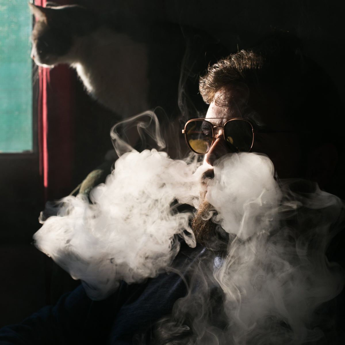 best natural vapes The Best Weed Vapes in North Attleboro, MA
