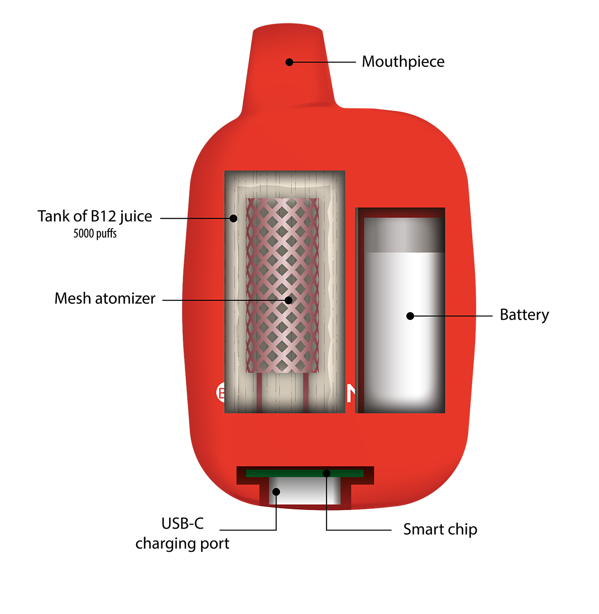 VitaminVape cutaway illustration
